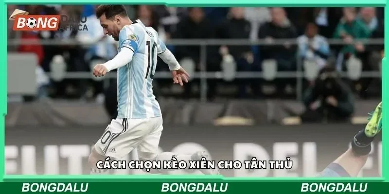 Cách chọn kèo xiên cho tân thủ