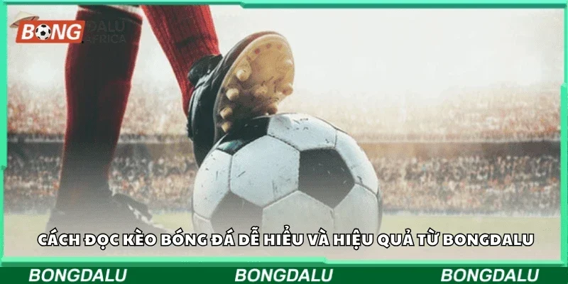 Cách đọc kèo bóng đá dễ hiểu và hiệu quả từ Bongdalu