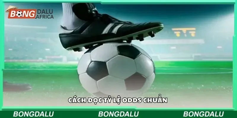 Tìm hiểu soi odds đội chủ nhà