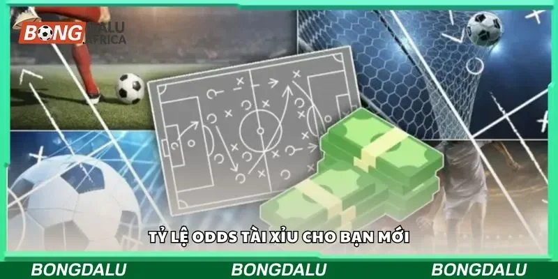 Tỷ lệ odds tài xỉu cho bạn mới