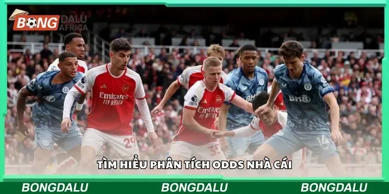 Theo dõi cách đọc tỷ lệ odds nhanh nhất