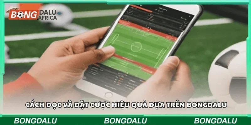 Cách đọc và đặt cược hiệu quả dựa trên Bongdalu