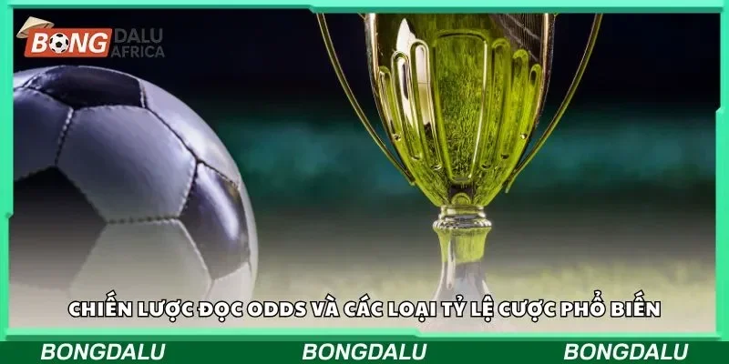 Chiến lược đọc odds và các loại tỷ lệ cược phổ biến 
