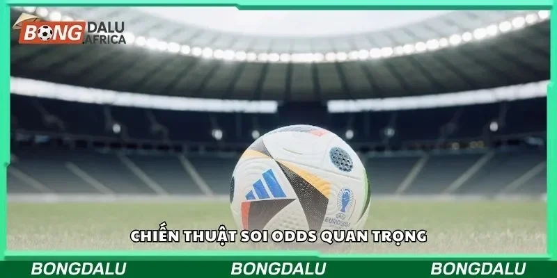 Chiến thuật soi odds quan trọng