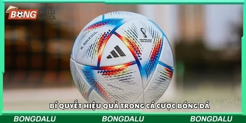 Bí quyết hiệu quả trong cá cược bóng đá