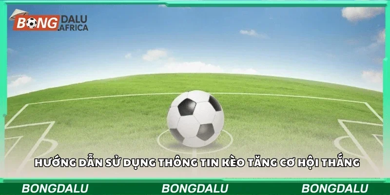 Hướng dẫn sử dụng thông tin kèo tăng cơ hội thắng