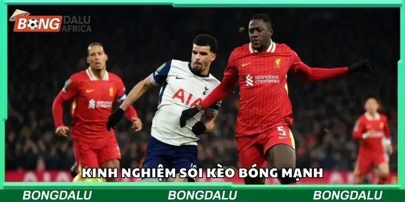Tổng hợp các mẹo soi kèo bóng cực chuẩn