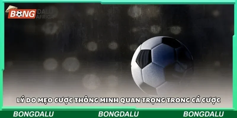 Lý do mẹo cược thông minh quan trọng trong cá cược