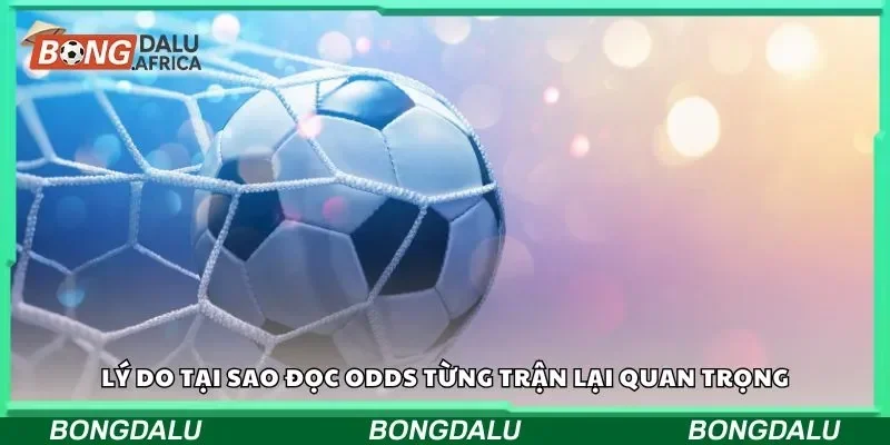 Lý do tại sao đọc odds từng trận lại quan trọng
