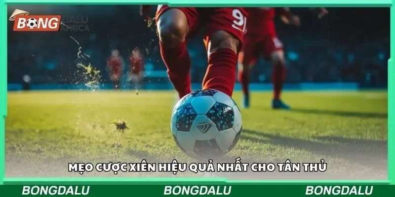 Mẹo cược xiên hiệu quả nhất cho tân thủ