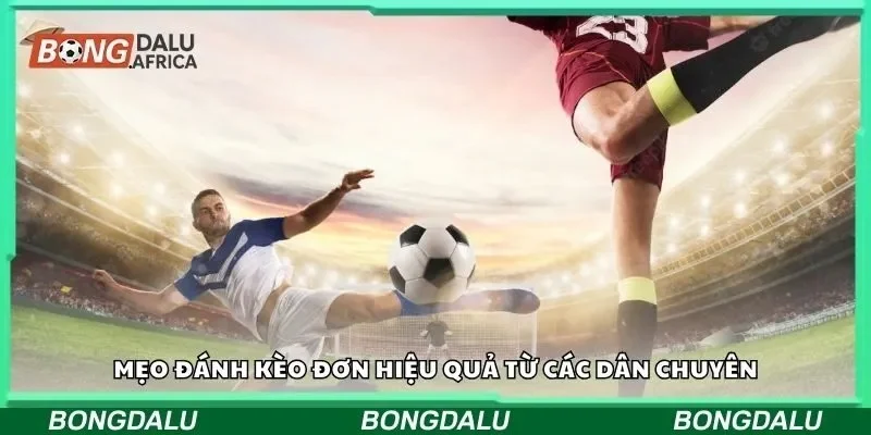 Mẹo đánh kèo đơn hiệu quả từ các dân chuyên