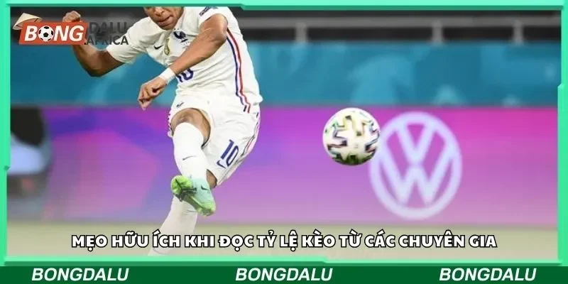 Mẹo hữu ích khi tham gia tỷ lệ kèo từ các chuyên gia