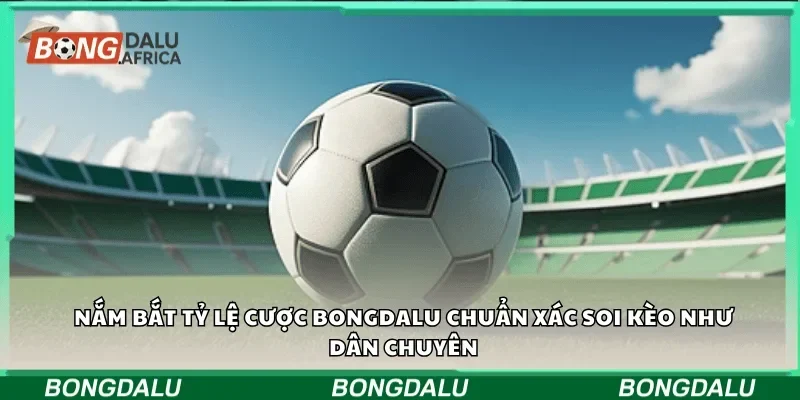 Nắm bắt tỷ lệ cược bongdalu chuẩn xác soi kèo như dân chuyên