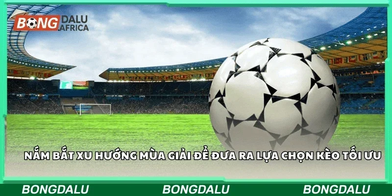 Nắm bắt xu hướng mùa giải để đưa ra lựa chọn kèo tối ưu