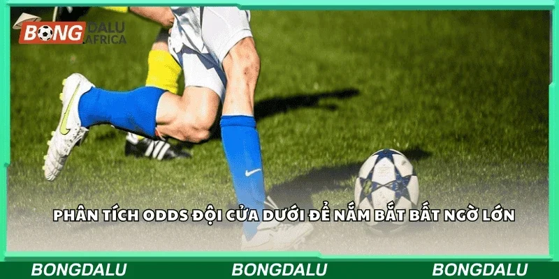 Phân tích odds đội cửa dưới để nắm bắt bất ngờ lớn.
