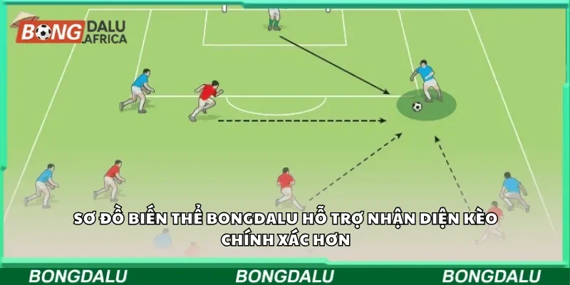Sơ đồ biến thể Bongdalu hỗ trợ nhận diện kèo chính xác hơn