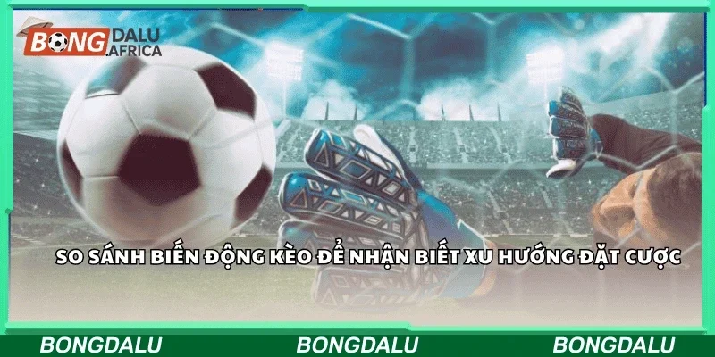 So sánh biến động kèo để nhận biết xu hướng đặt cược.