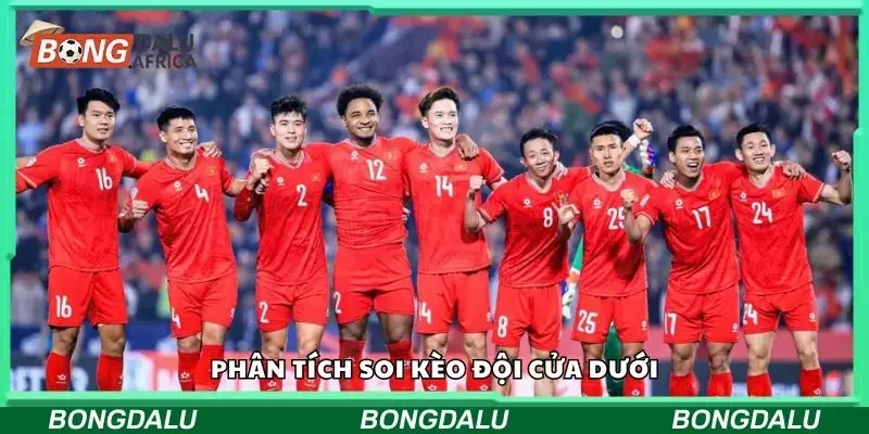Phân tích về soi kèo đội cửa dưới 