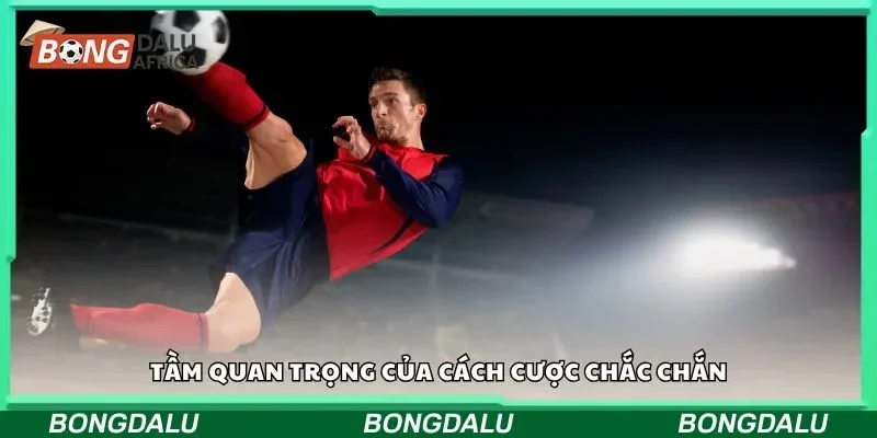 Tầm quan trọng của cách cược chắc chắn