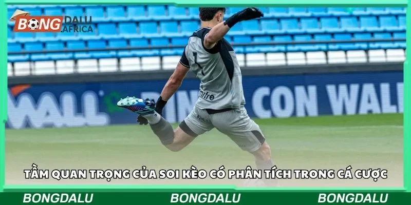 Tầm quan trọng của soi kèo có phân tích trong cá cược