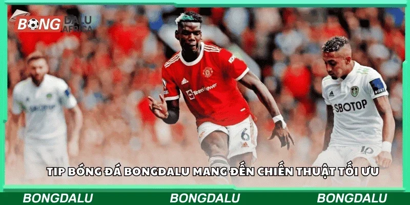 Tip bóng đá Bongdalu mang đến chiến thuật tối ưu