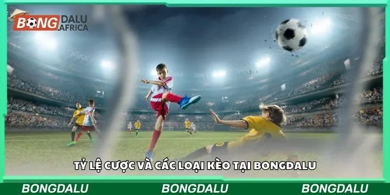 Tỷ lệ cược và các loại kèo tại bongdalu