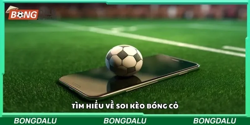 Tìm hiểu về soi kèo bóng cỏ