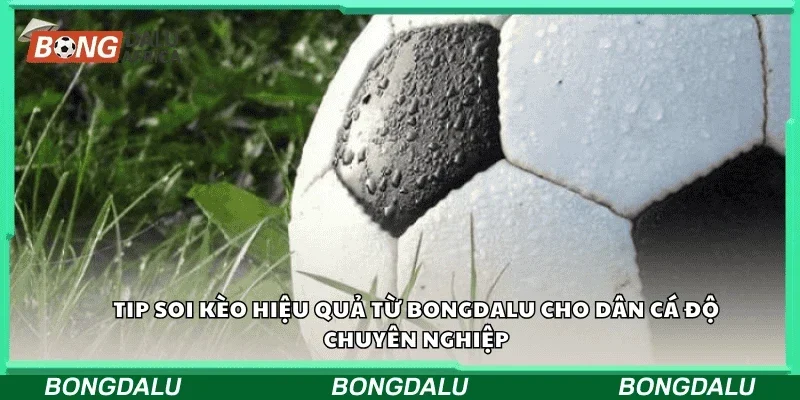 Tip soi kèo hiệu quả từ Bongdalu cho dân cá độ chuyên nghiệp