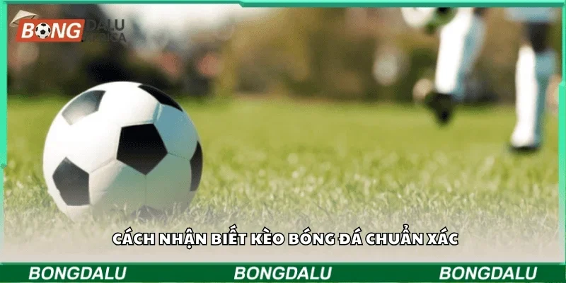 Cách nhận biết kèo bóng đá chuẩn xác