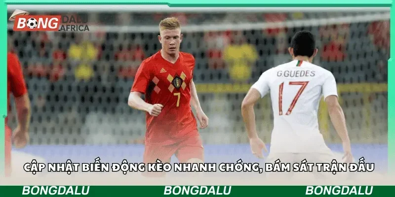 Cập nhật biến động kèo nhanh chóng, bám sát trận đấu