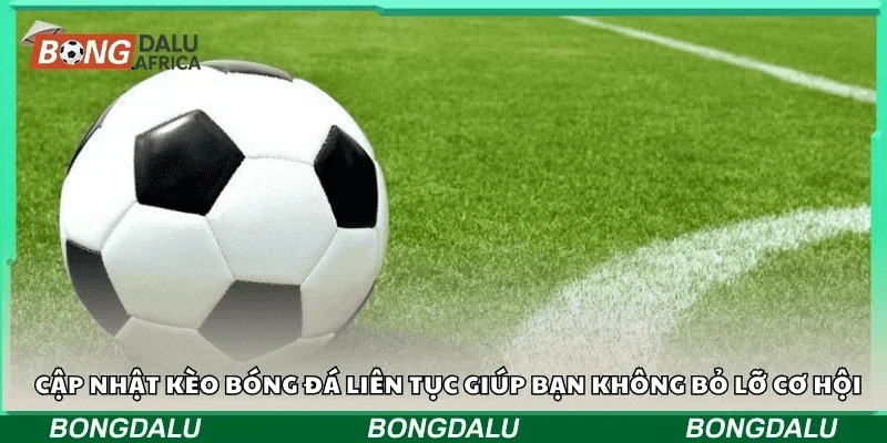 Cập nhật kèo bóng đá liên tục giúp bạn không bỏ lỡ cơ hội