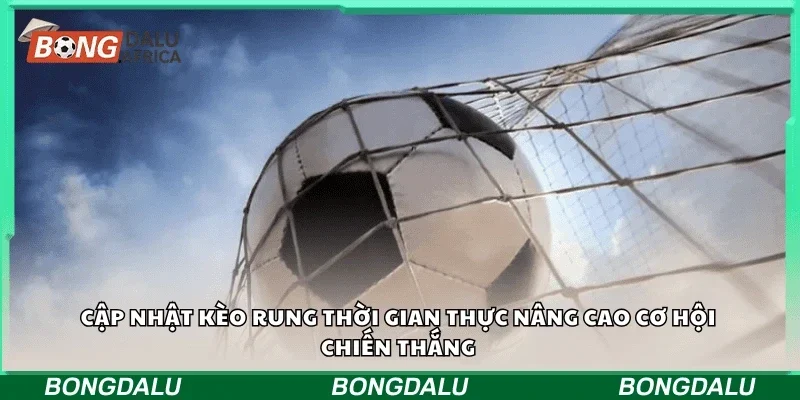 Cập nhật kèo rung thời gian thực nâng cao cơ hội chiến thắng