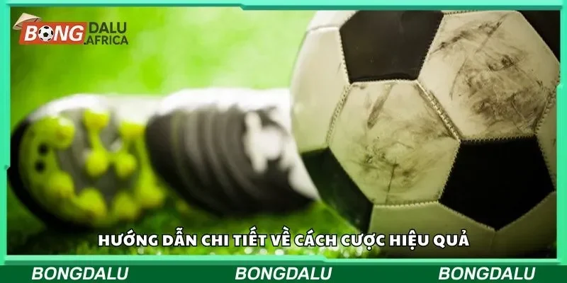 Hướng dẫn chi tiết về cách cược hiệu quả