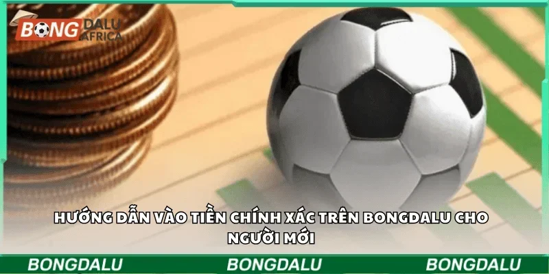 Hướng dẫn vào tiền chính xác trên Bongdalu cho người mới