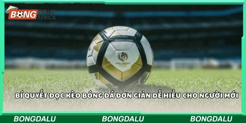 Bí quyết đọc kèo bóng đá đơn giản dễ hiểu cho người mới