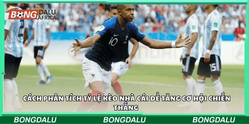 Cách phân tích tỷ lệ kèo nhà cái để tăng cơ hội chiến thắng