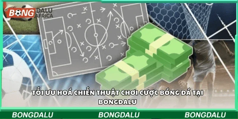 Tối ưu hóa chiến thuật chơi cược bóng đá tại Bongdalu