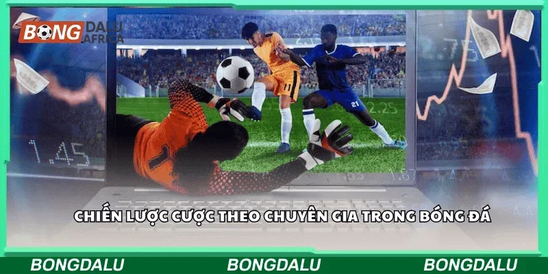 Chiến lược cược theo chuyên gia trong bóng đá