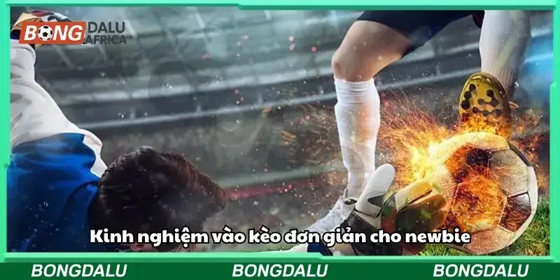Kinh nghiệm vào kèo đơn giản cho newbie