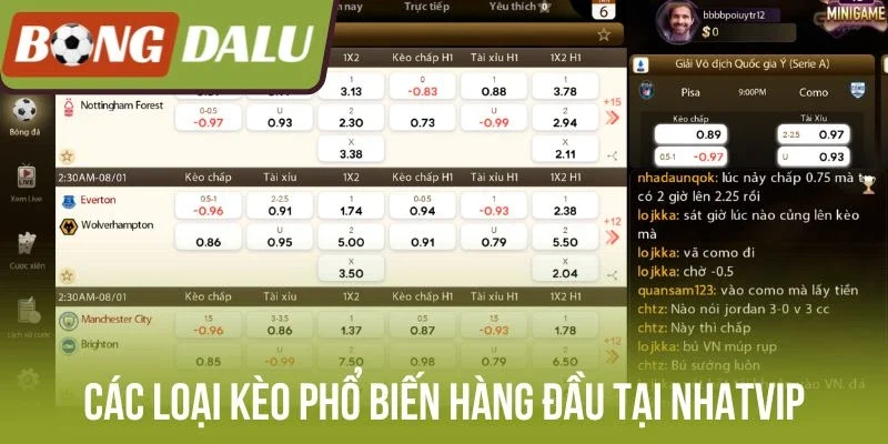 Các loại kèo phổ biến hàng đầu tại Nhatvip