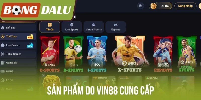 Sản phẩm do Vin88 cung cấp