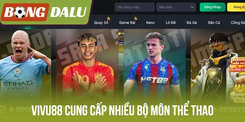 Vivu88 cung cấp nhiều bộ môn thể thao hấp dẫn