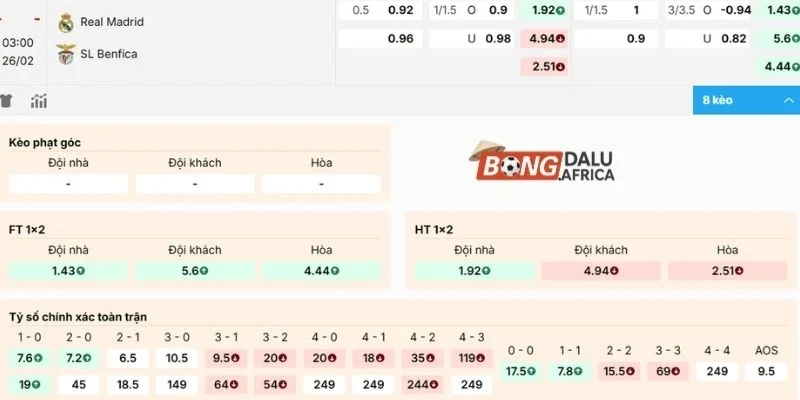Dự đoán, soi kèo Real Madrid vs Benfica