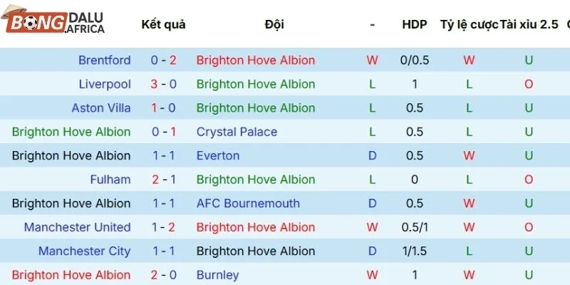 Kết quả thi đấu gần đây của đội chủ sân Brighton