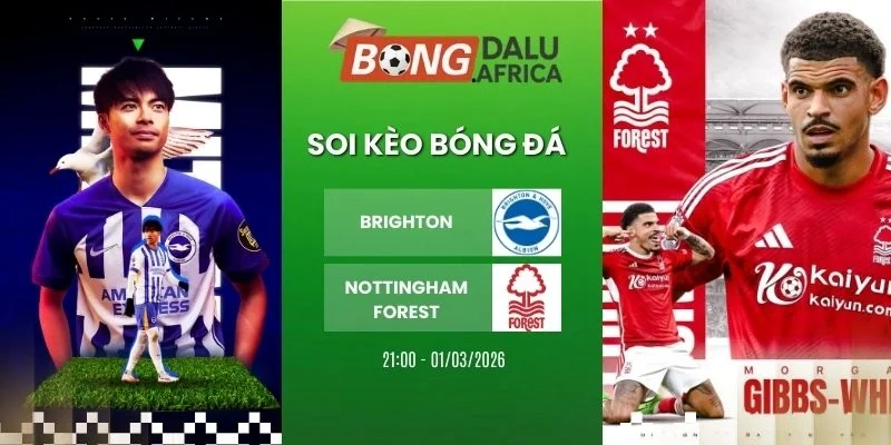Soi kèo bóng đá Brighton vs Nottingham Forest - NHA, 01/03/2026