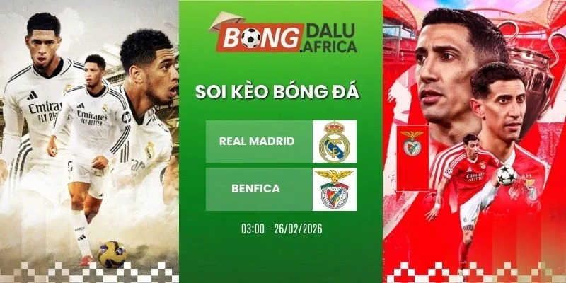Soi kèo nhà cái Real Madrid vs Benfica - Cup C1, 26/02/2026