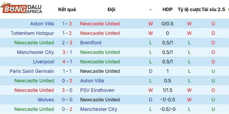 Thành tích các trận tranh tài gần đây của Newcastle 