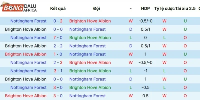 Thành tích đối đầu của Brighton vs Nottingham Forest