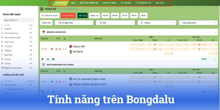 Giới thiệu thông tin cơ bản về Bongdalu